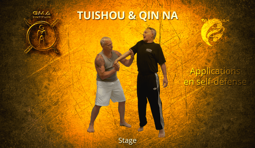 Stage de TAIJI QUAN : Applications en Self-Défense