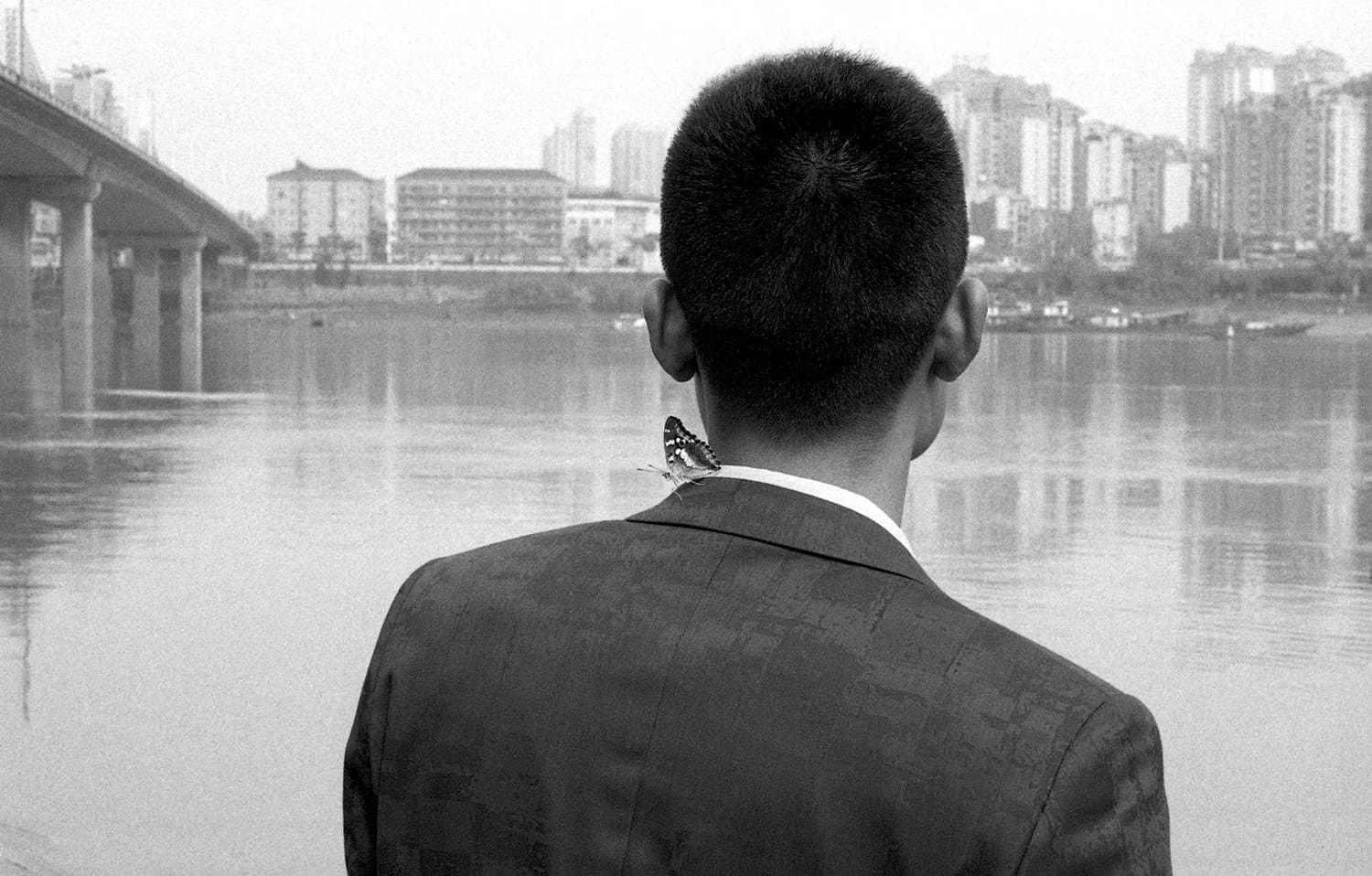 Tao Métro Boulot Dodo